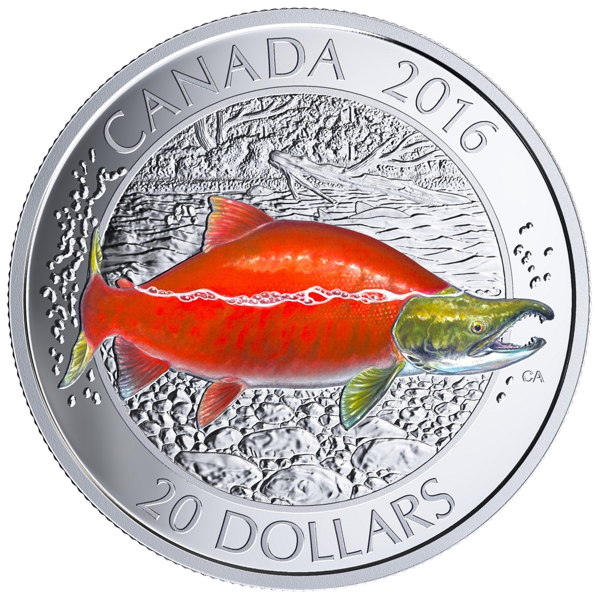 2016 $20 CANADIAN SALMONID - PURE SILVER COIN SET WITH DISPLAY CASE AND FISHING HOOK - Image 2