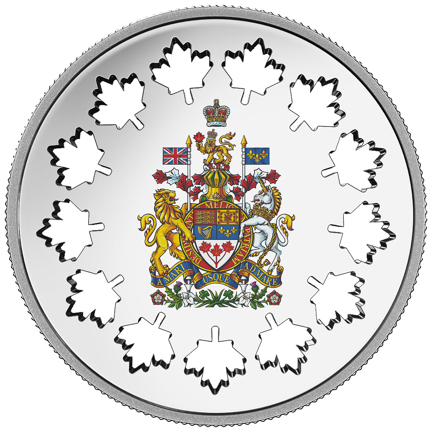 2018 $30 FINE SILVER COIN EVOLVING A NATION