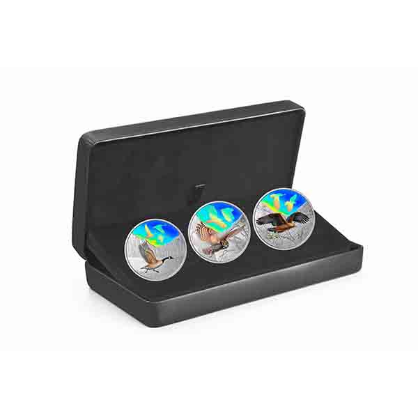 2019 $30 Fine Silver Coin – Majestic Birds in Motion: Canada Geese - Image 5