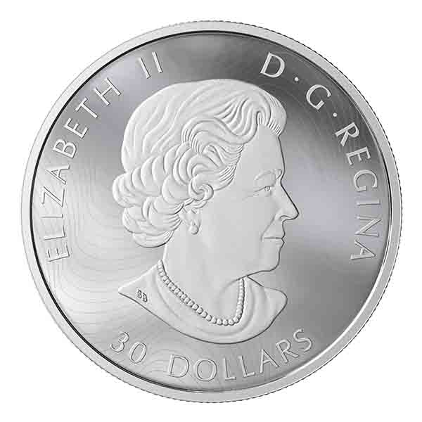 2019 $30 Fine Silver Coin – Majestic Birds in Motion: Canada Geese - Image 3