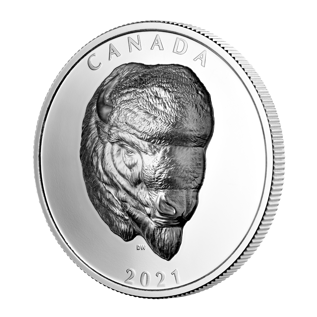 2021 $25 Bold Bison (Ehr) - Pure Silver Coin - Image 2