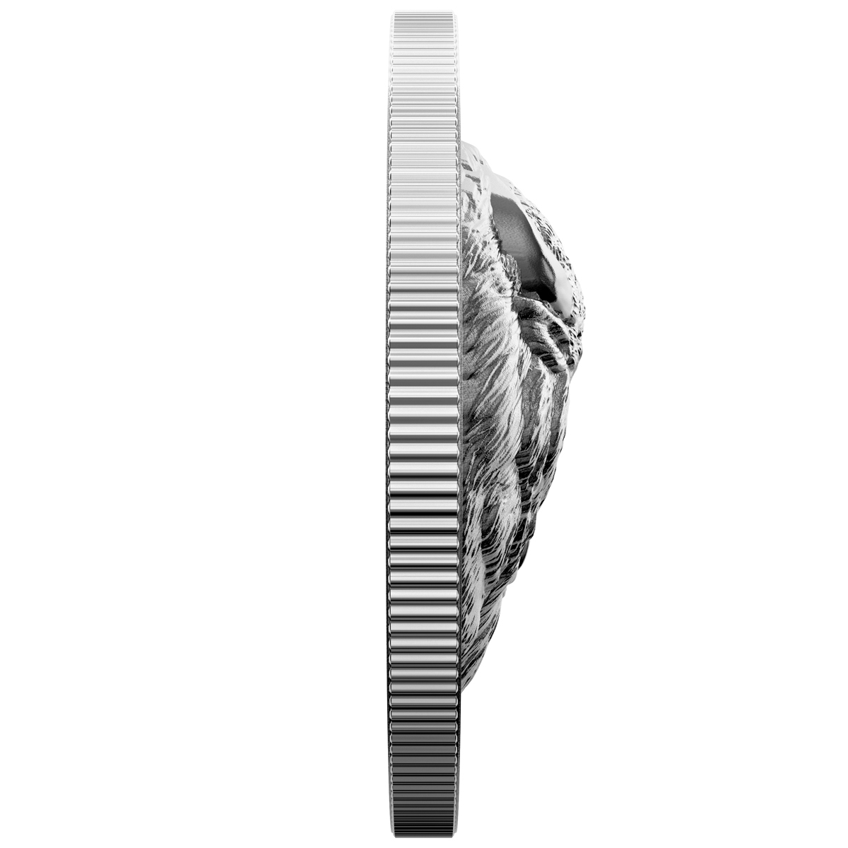 2021 $25 Bold Bison (Ehr) - Pure Silver Coin - Image 4