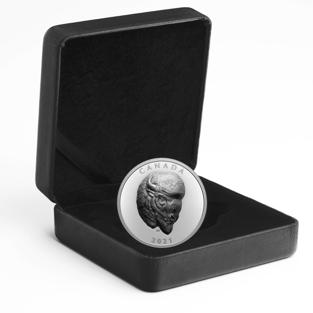 2021 $25 Bold Bison (Ehr) - Pure Silver Coin - Image 6