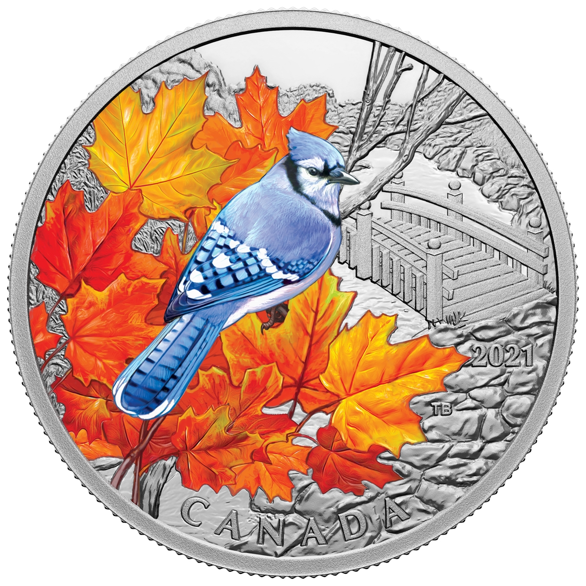 2021 $20 Colourful Birds: Blue Jay - Pure Silver Coin - Bullion Mart