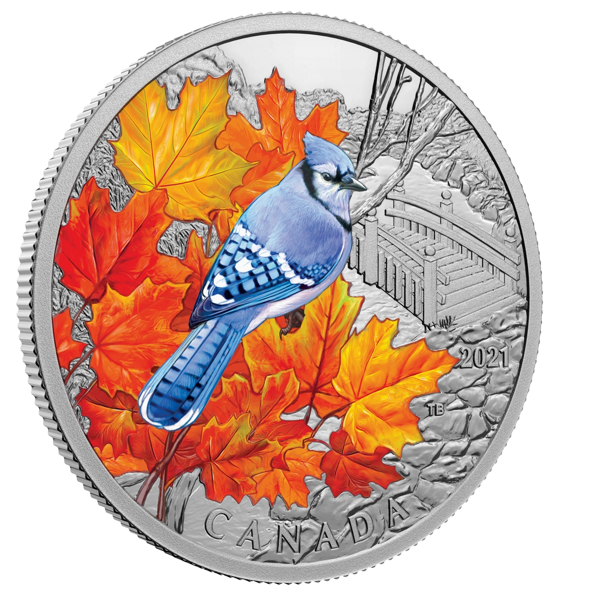 BONHEUR Papier　0504 2021 $20 Colourful Birds: Blue Jay - Pure Silver Coin