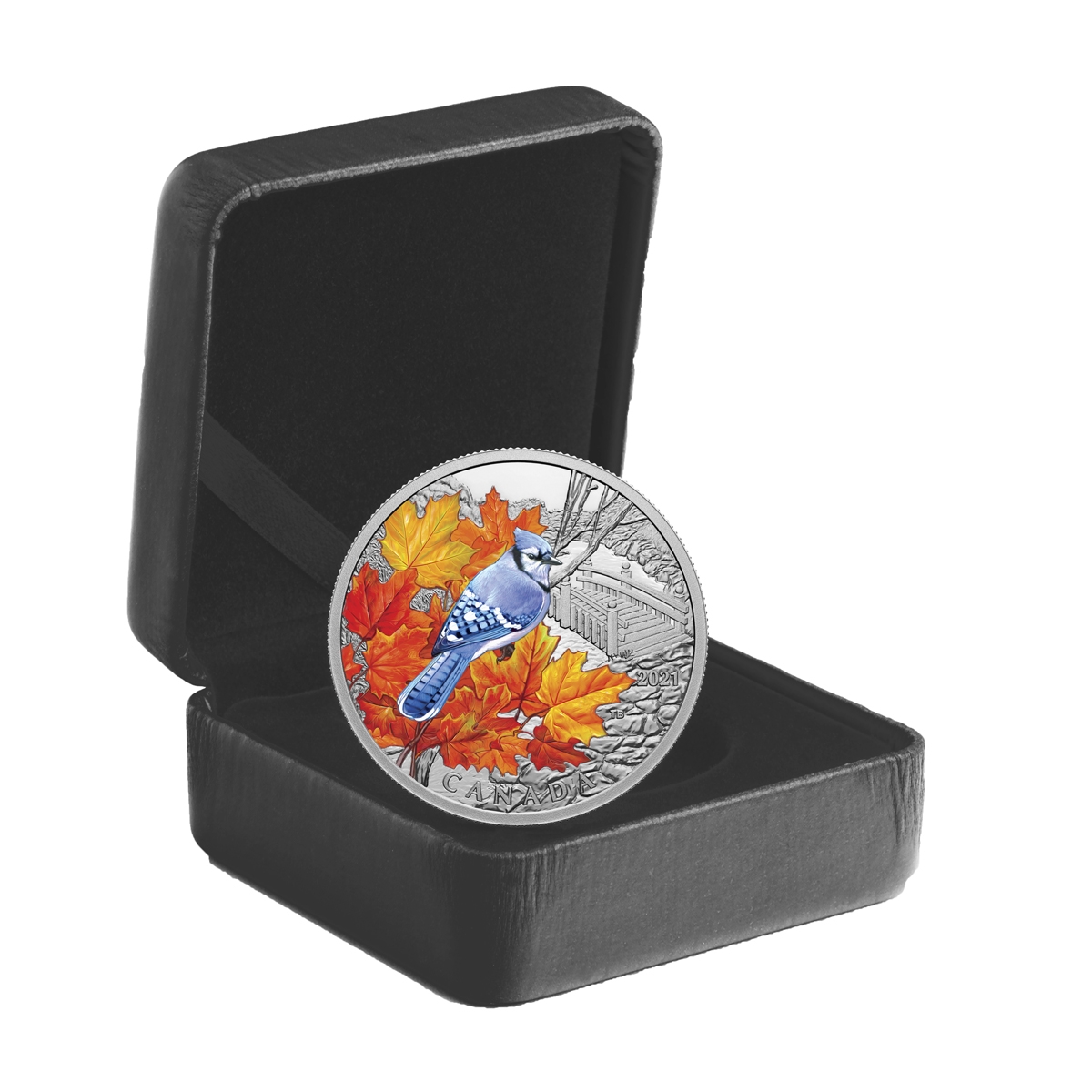 2021 $20 Colourful Birds: Blue Jay - Pure Silver Coin - Bullion Mart