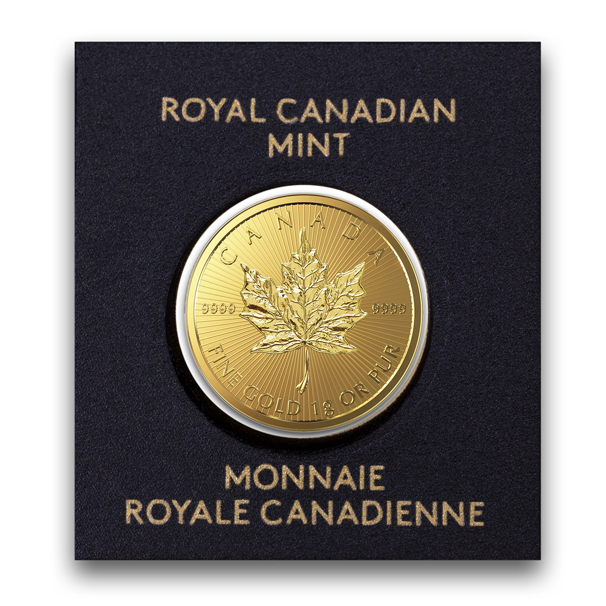 1 Gram Gold Maple Leaf + 1 Gram PAMP Platinum - Image 4