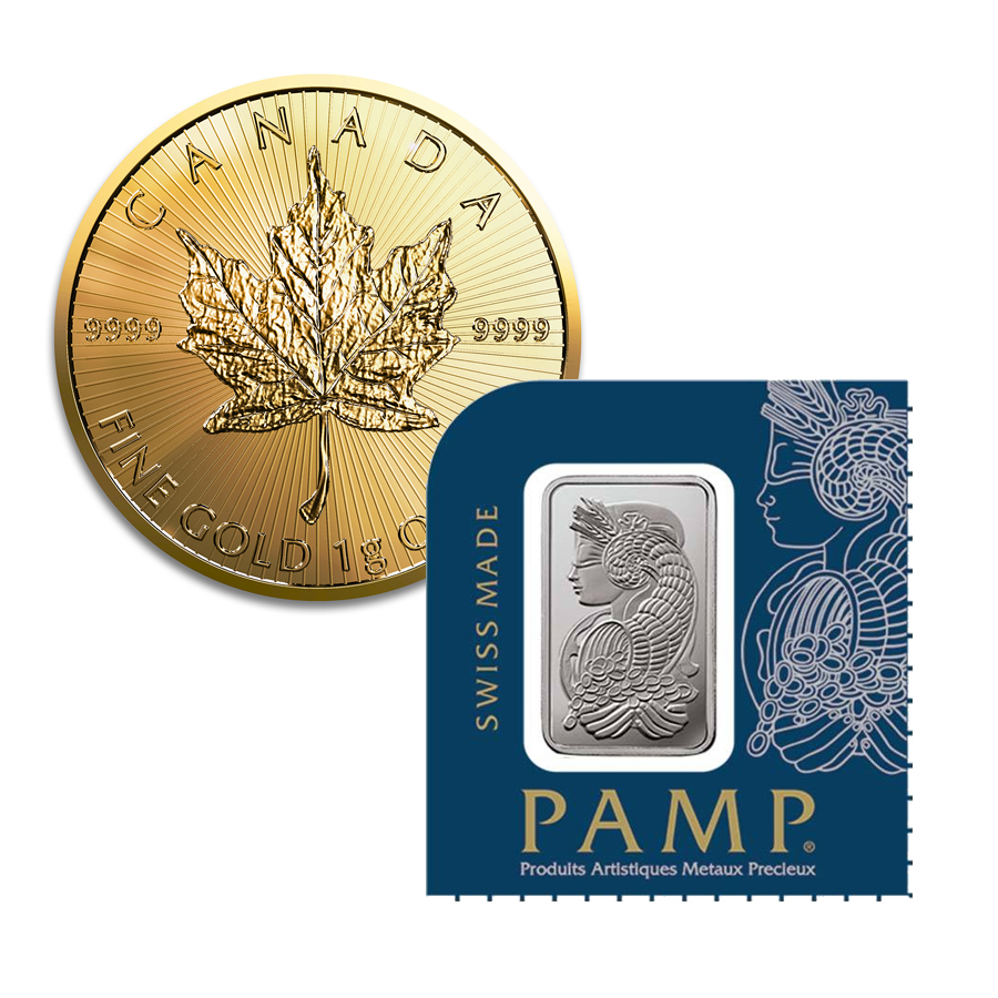 1 Gram Gold Maple Leaf + 1 Gram PAMP Platinum
