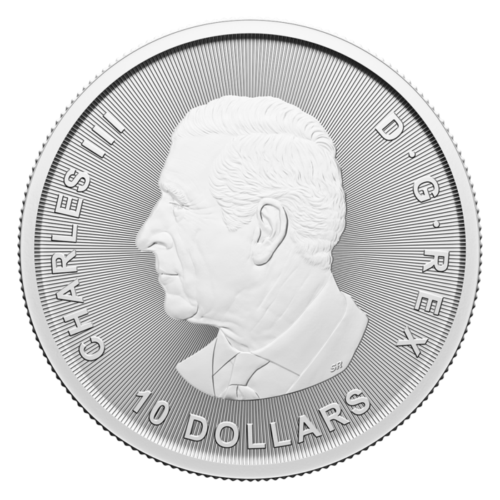 Twin Maples - 2 oz. 99.99% Pure Silver Coin - Royal Canadian Mint (Random Year) - Image 4