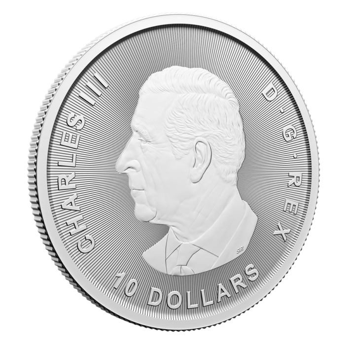 Twin Maples - 2 oz. 99.99% Pure Silver Coin - Royal Canadian Mint (Random Year) - Image 3