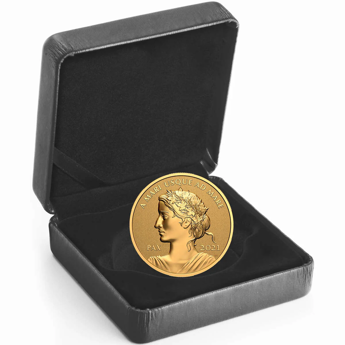 2021 $200 Peace Dollar - Pure Gold Coin - Image 4
