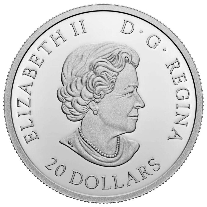 2022 Her Majesty Queen Elizabeth II Platinum Jubilee Celebration Set - Image 3