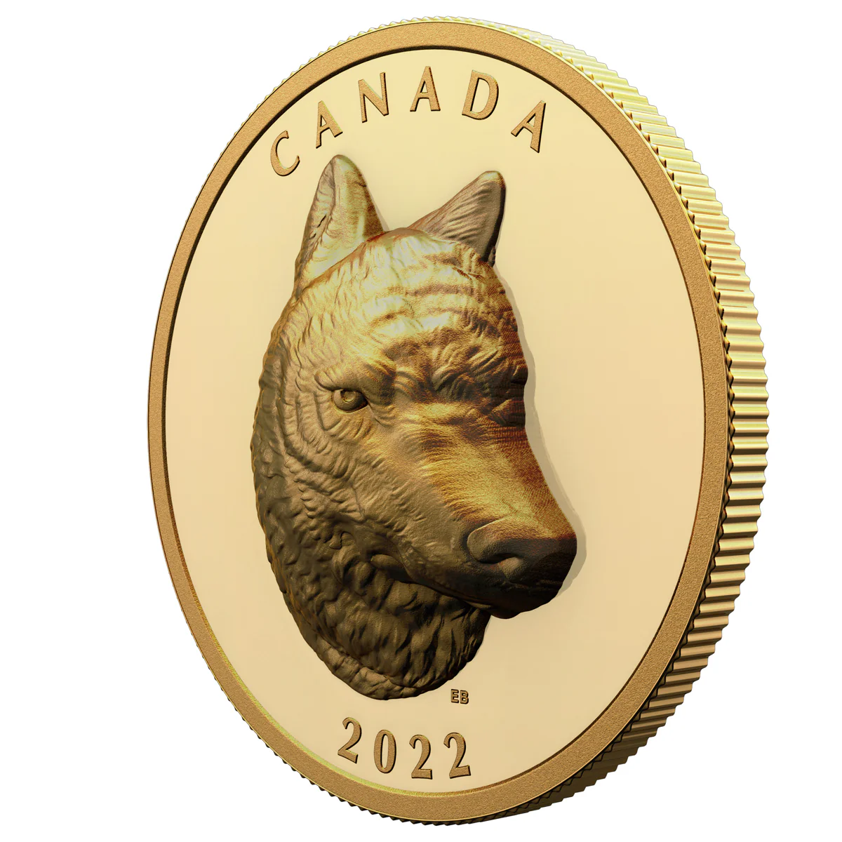 2022 $250 Timber Wolf - Pure Gold Coin - Image 2