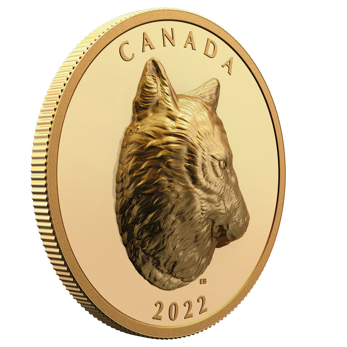 2022 $250 Timber Wolf - Pure Gold Coin - Image 3