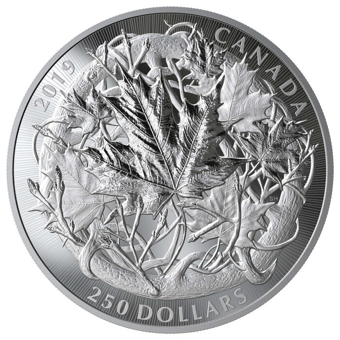 2019 The Canadian Maple Masters Collection - Pure Silver Coin Set - Image 10