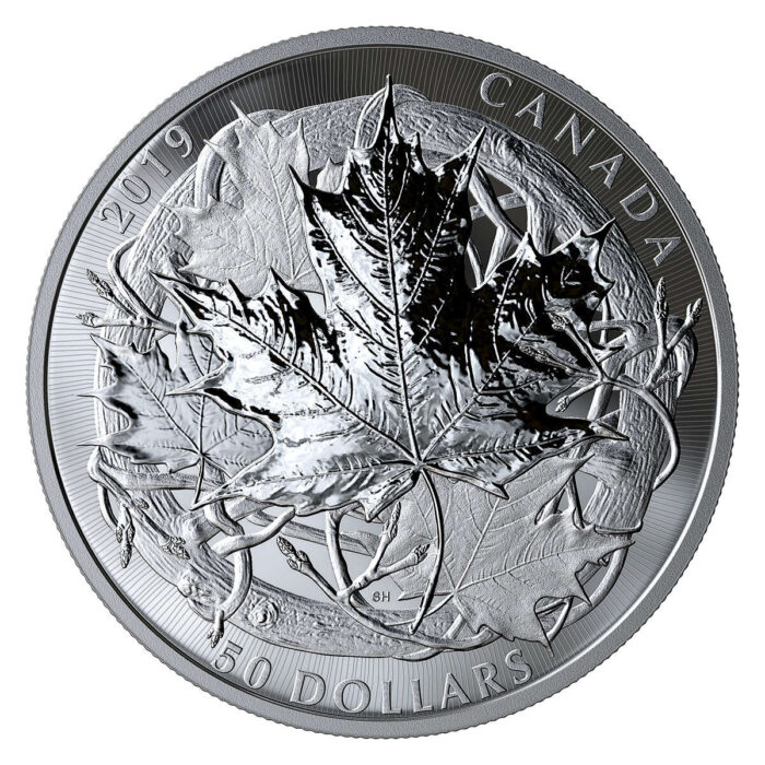 2019 The Canadian Maple Masters Collection - Pure Silver Coin Set - Image 6