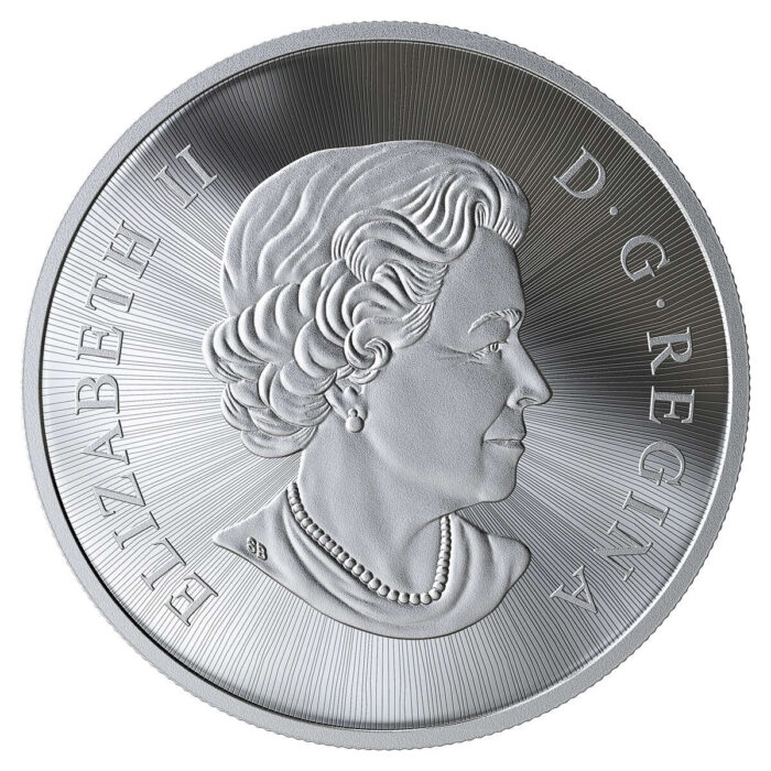 2019 The Canadian Maple Masters Collection - Pure Silver Coin Set - Image 7
