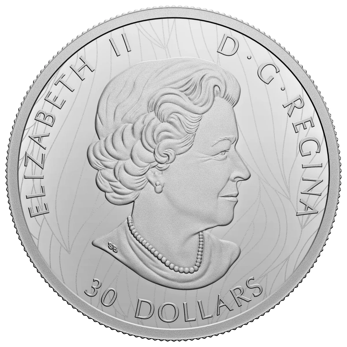 2022 $30 The Mighty Bison - Pure Silver Coin - Image 2