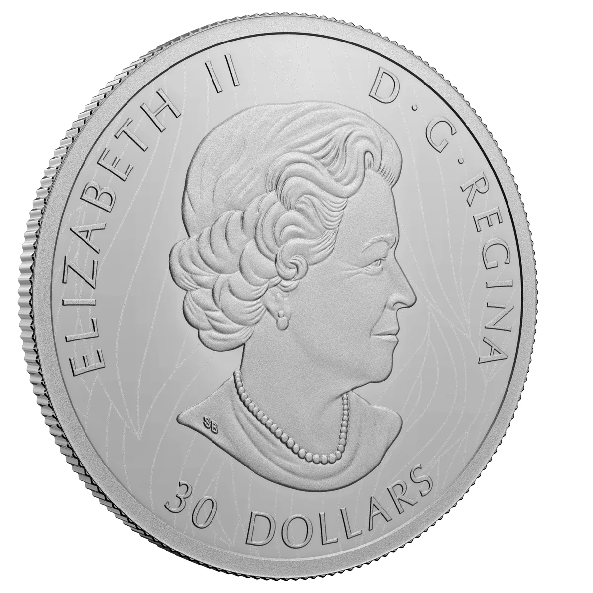 2022 $30 The Mighty Bison - Pure Silver Coin - Image 4