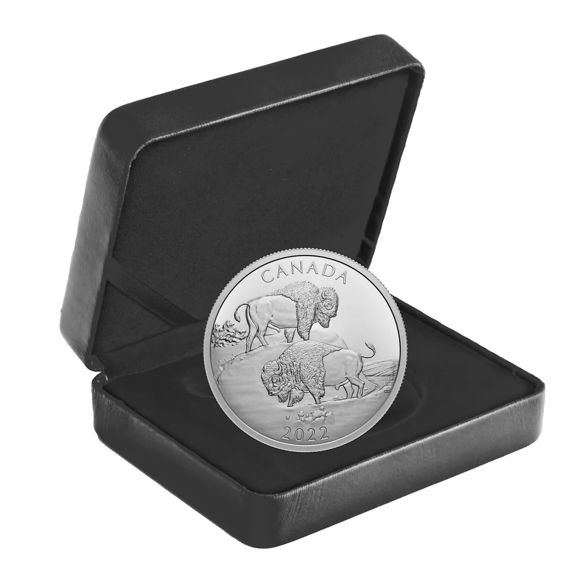 2022 $30 The Mighty Bison - Pure Silver Coin - Image 5