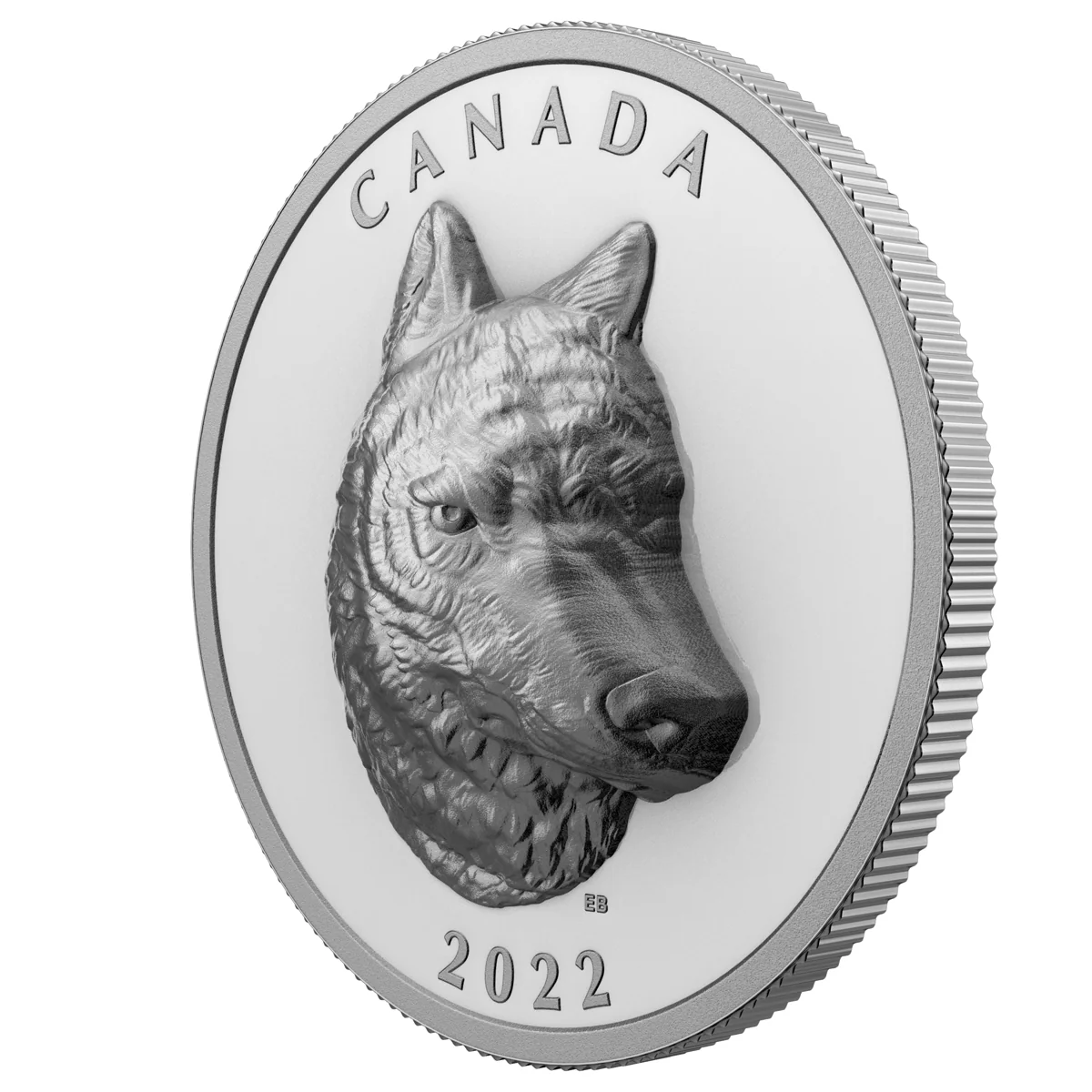 2022 $25 Timber Wolf - Pure Silver Coin - Image 3