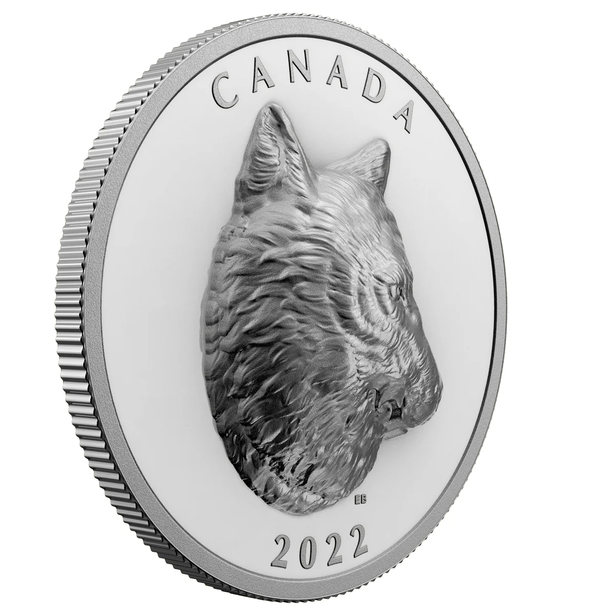 2022 $25 Timber Wolf - Pure Silver Coin - Image 4