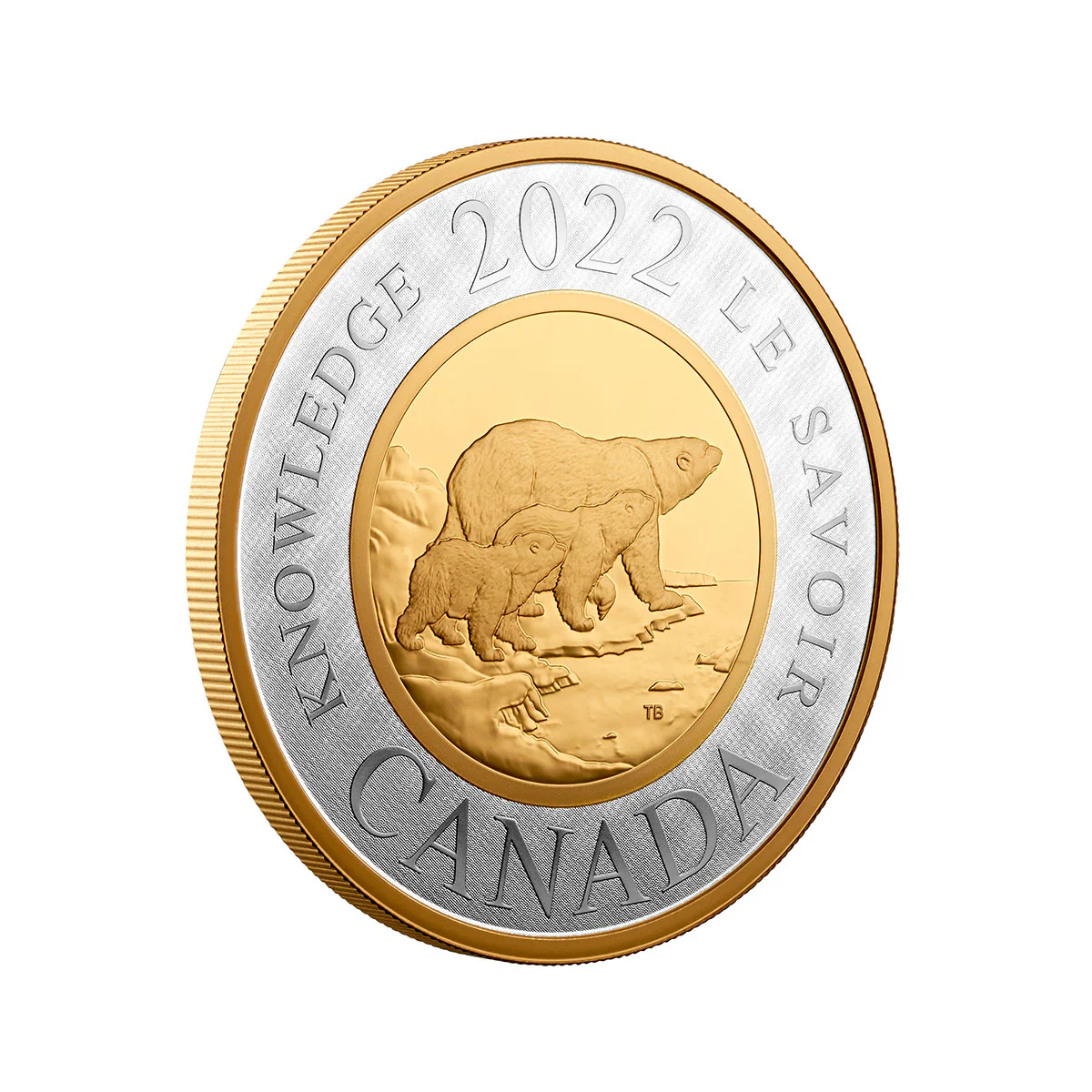 2022 $2 Renewed Silver Toonie: Path of Knowledge - Pure Silver Coin - Image 3