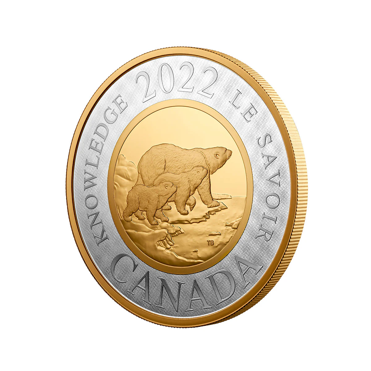 2022 $2 Renewed Silver Toonie: Path of Knowledge - Pure Silver Coin - Image 4