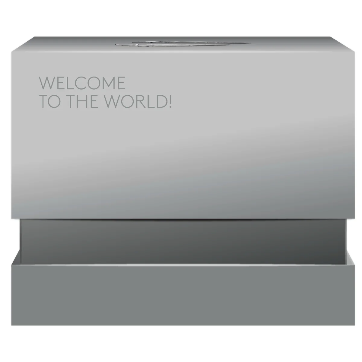2026 $10 Welcome to the World - Pure Silver Coin - Image 7