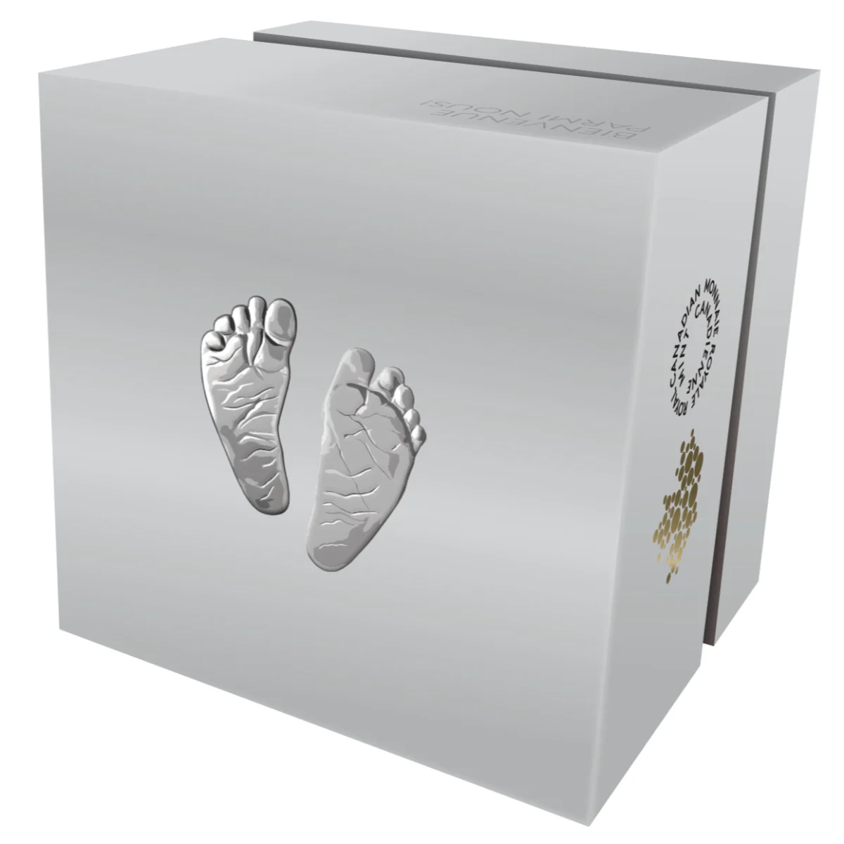 2026 $10 Welcome to the World - Pure Silver Coin - Image 4