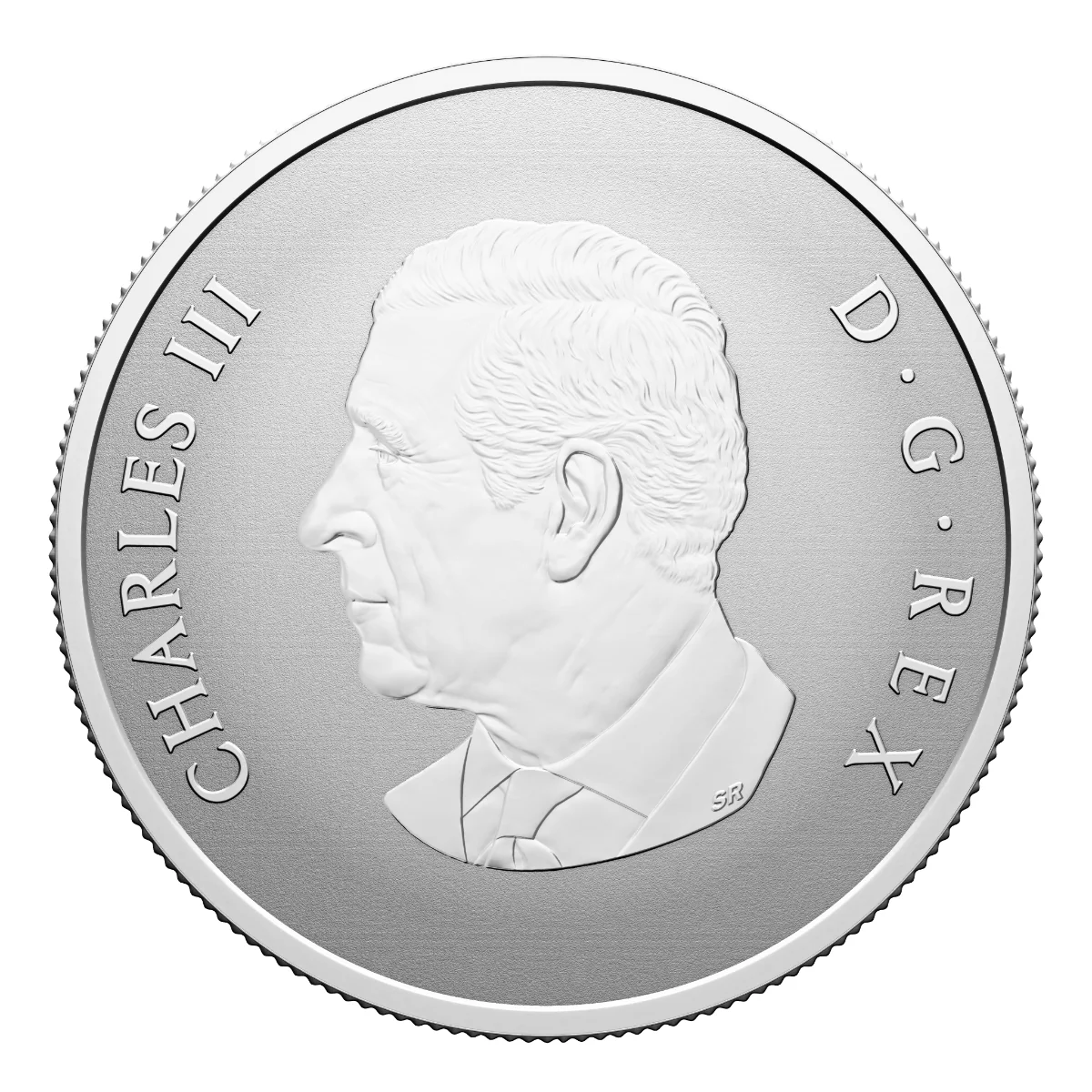 2026 $10 Welcome to the World - Pure Silver Coin - Image 2