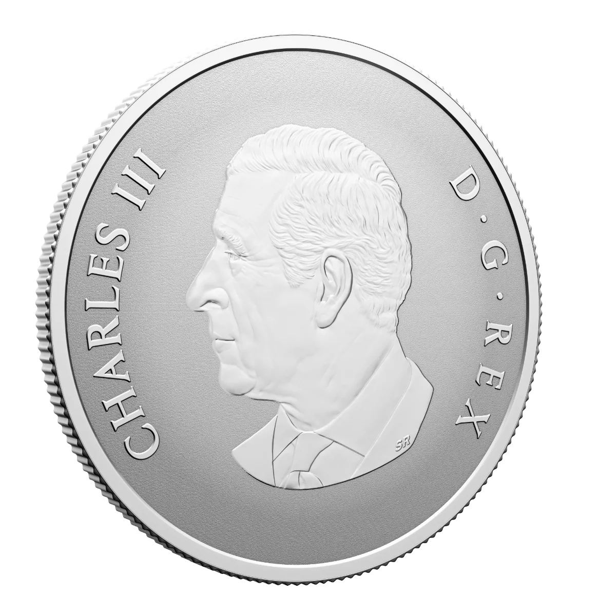 2026 $10 Welcome to the World - Pure Silver Coin - Image 3