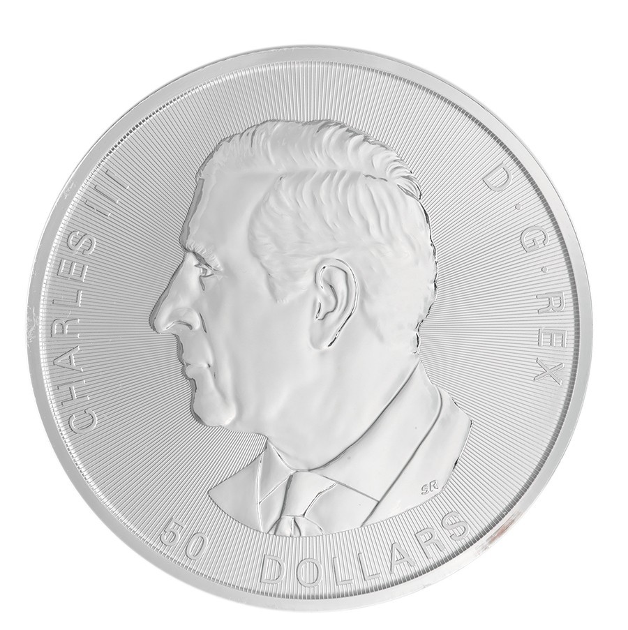 10 oz 2024 Magnificent Maple Leaves Silver Coin | Royal Canadian Mint - Image 2