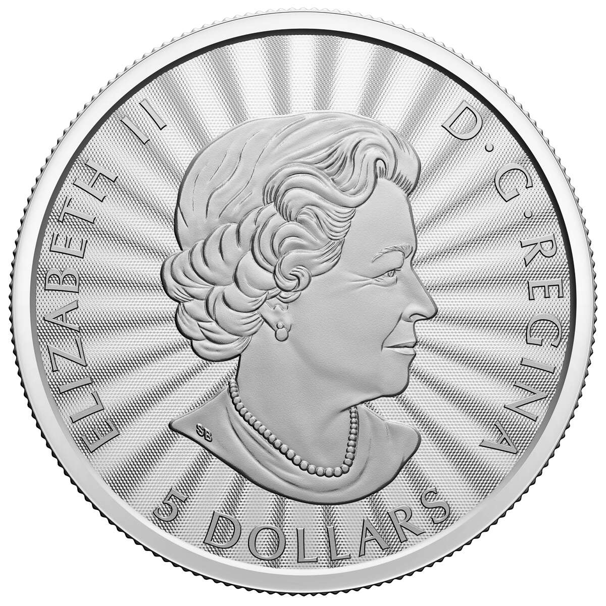 2022 $5 The Majestic Polar Bear - Pure Silver Coin - Image 3